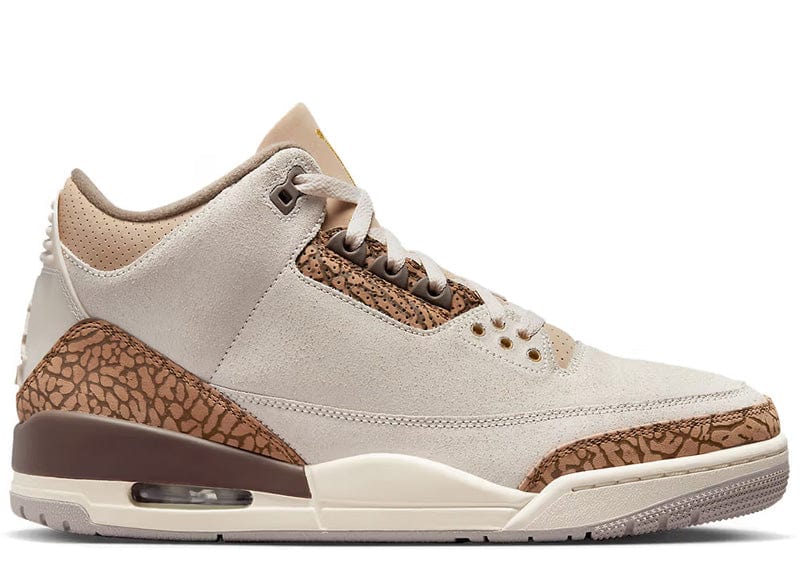 AIR JORDAN 3 RETRO PALOMINO - COURT ORDER