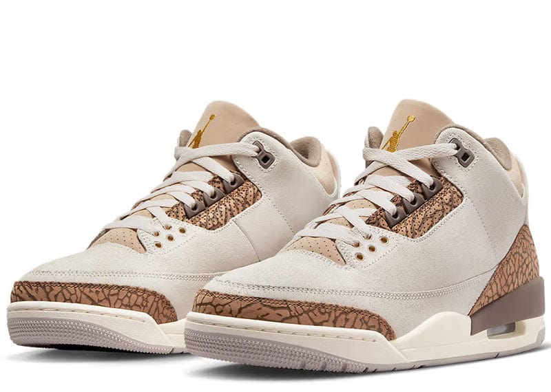 AIR JORDAN 3 RETRO PALOMINO - COURT ORDER